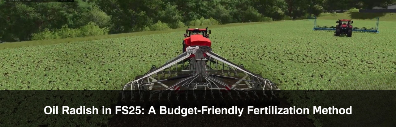 Oil Radish in FS25: A Budget-Friendly Fertilization Method